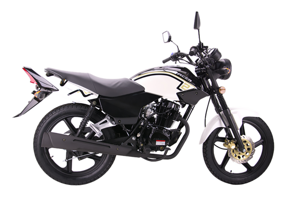 Мотоцикл Racer RC150-23 Tiger (белый) pitbikemarket.ru